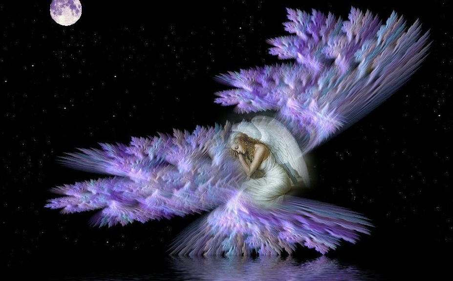 Blog boodschappen van gene zijde van overledenen, In-syn